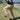 The Tile Pant